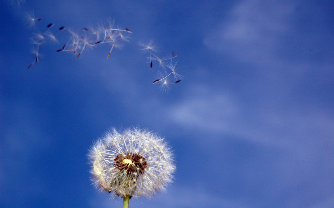 Worship that Connects: Navigating What Comes Next