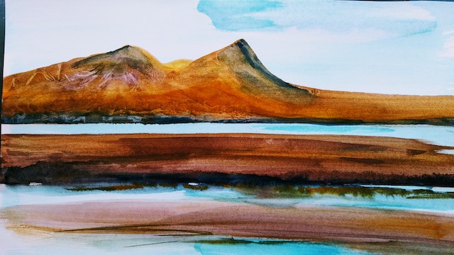Watercolour Workshop